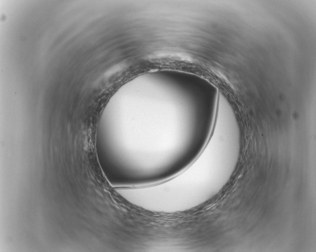 X0000088380965200705220738