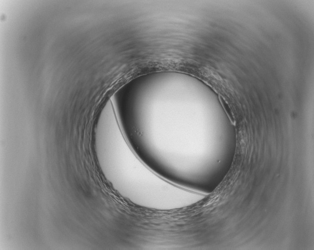 X0000088381057200705220736