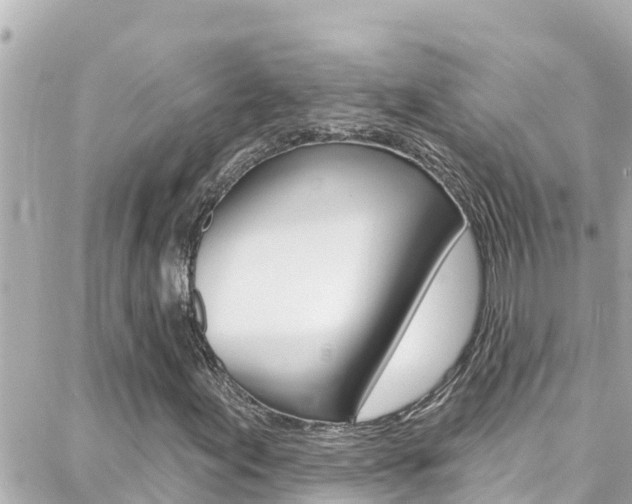 X0000088381155200705220735