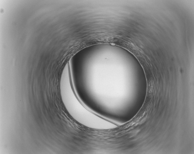 X0000088381202200705220733
