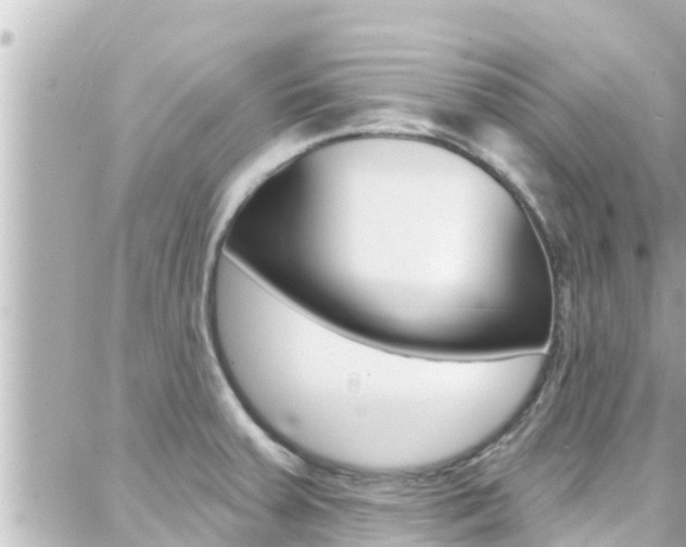 X0000088381379200705220731