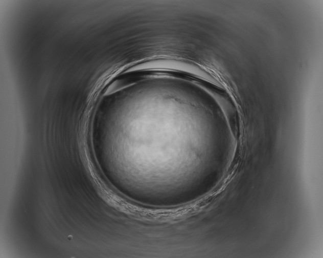 X0000088380001200705221103