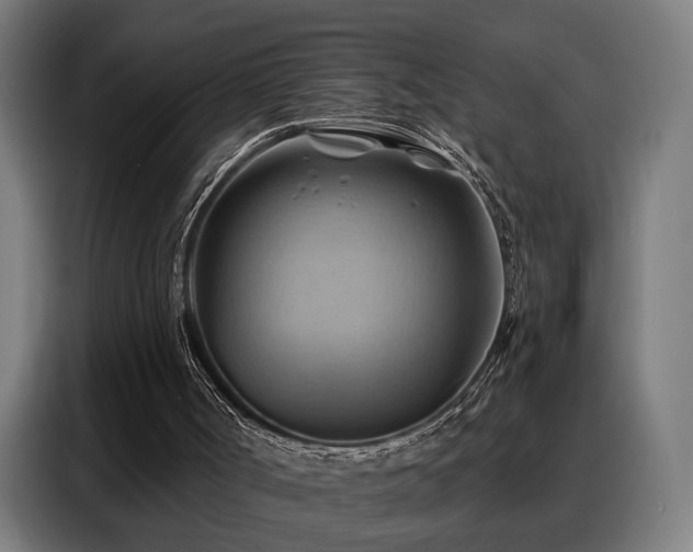 X0000088380002200705221103