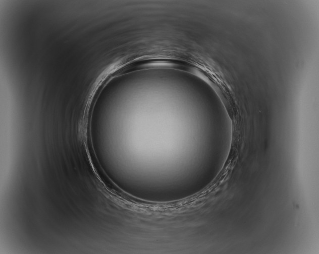 X0000088380003200705221103