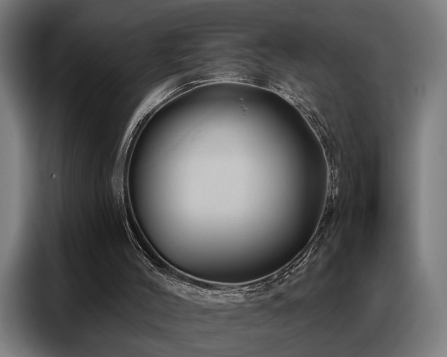 X0000088380004200705221103