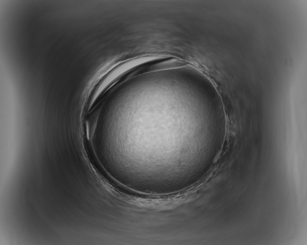 X0000088380005200705221103