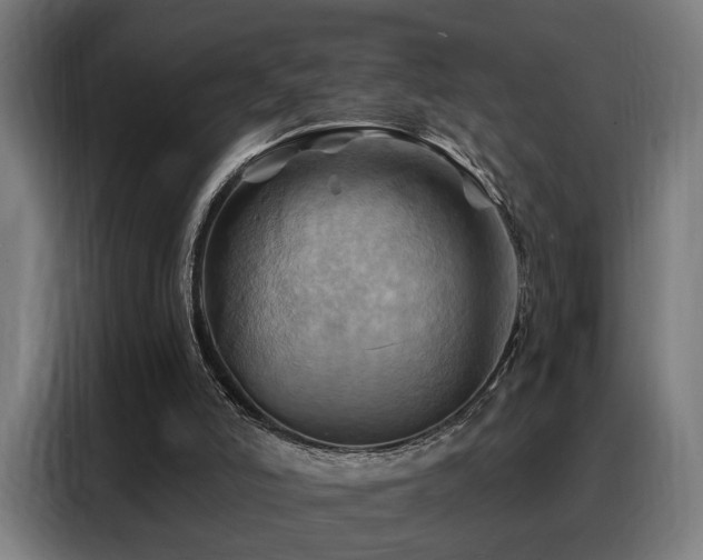 X0000088380006200705221103