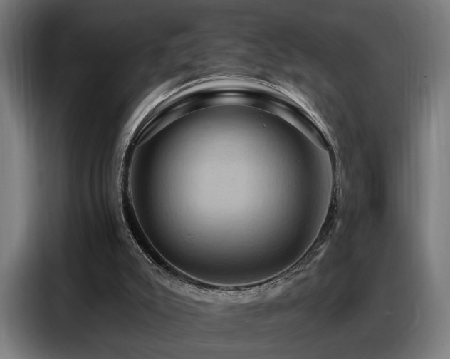 X0000088380007200705221103