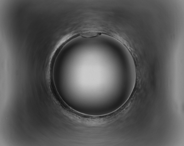X0000088380008200705221103