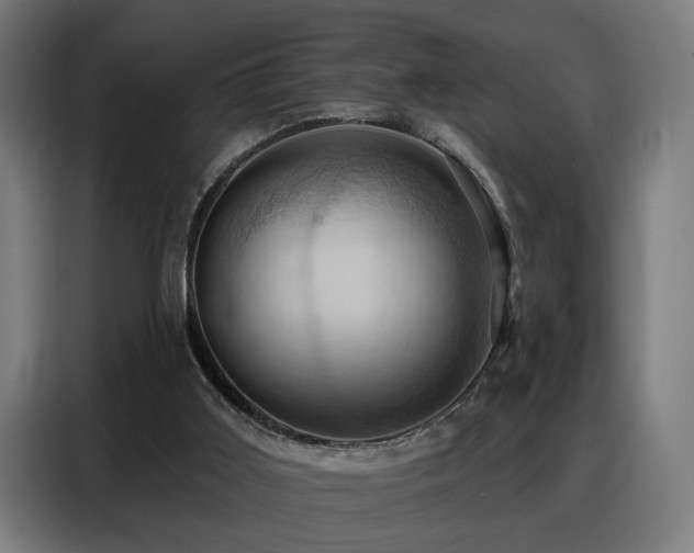 X0000088380011200705221103