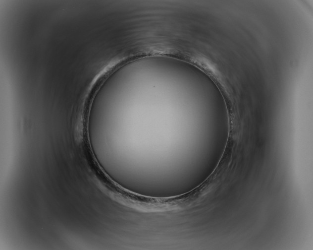 X0000088380012200705221103