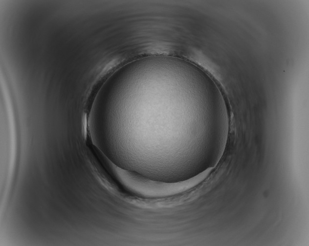 X0000088380013200705221103