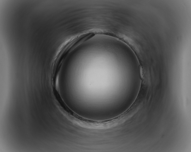 X0000088380015200705221103