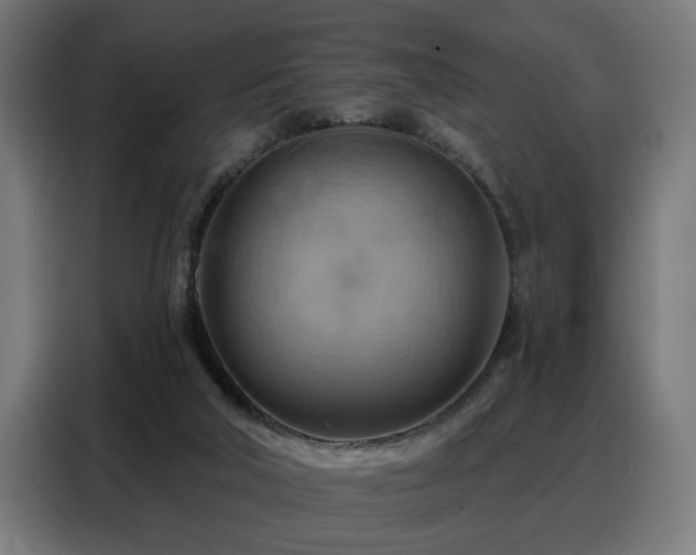 X0000088380018200705221103