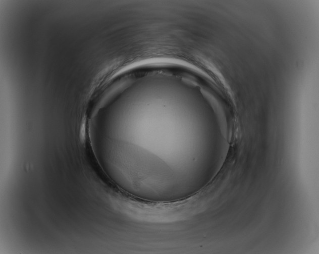 X0000088380019200705221103
