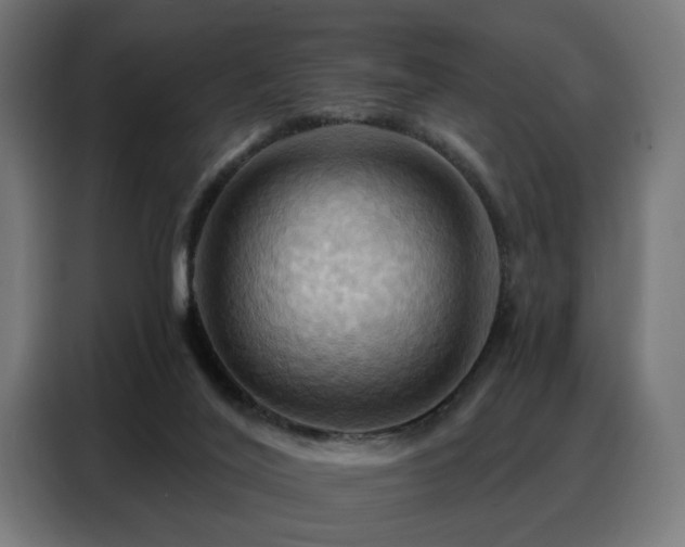 X0000088380020200705221103