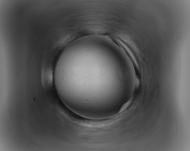 X0000088380021200705221103