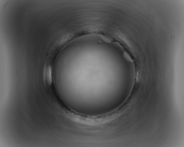 X0000088380022200705221103