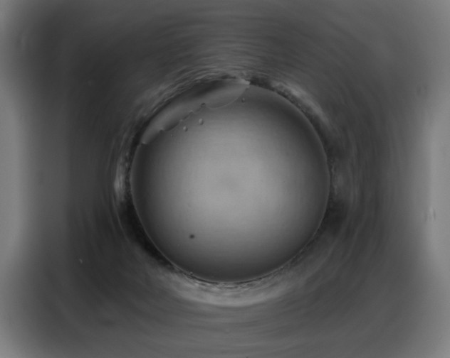 X0000088380026200705221103