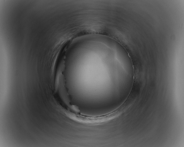 X0000088380027200705221103