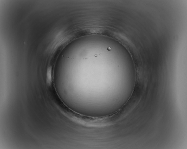 X0000088380028200705221103