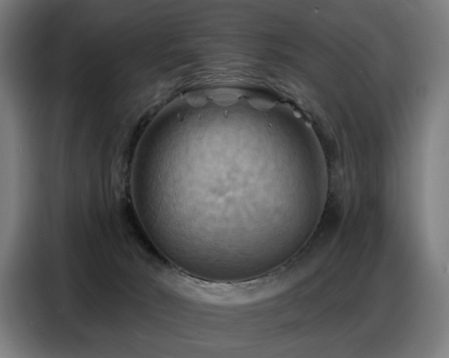 X0000088380030200705221103