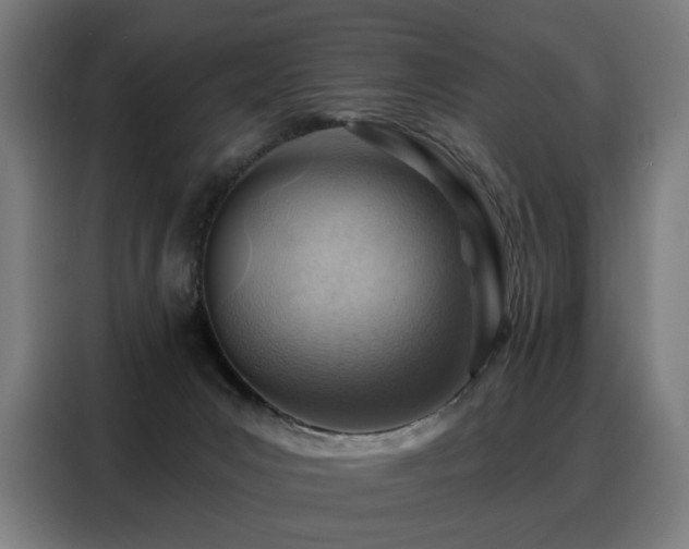 X0000088380031200705221103