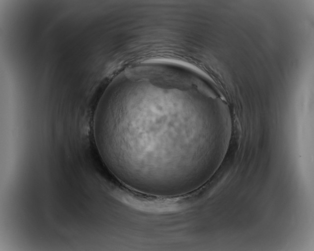 X0000088380032200705221103