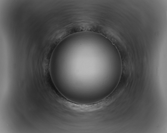 X0000088380034200705221103