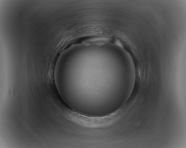 X0000088380035200705221103