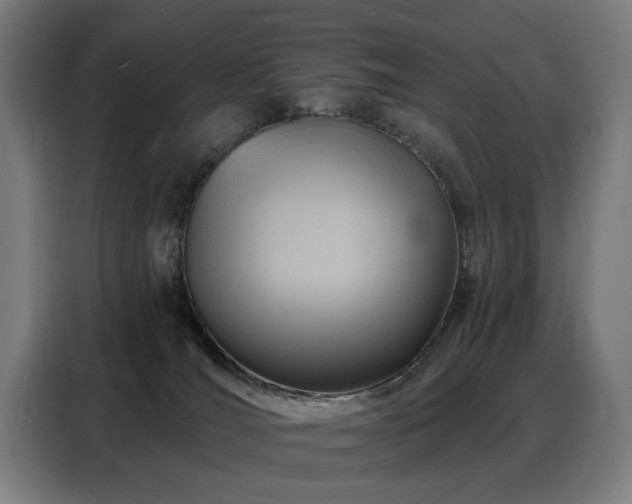 X0000088380036200705221103