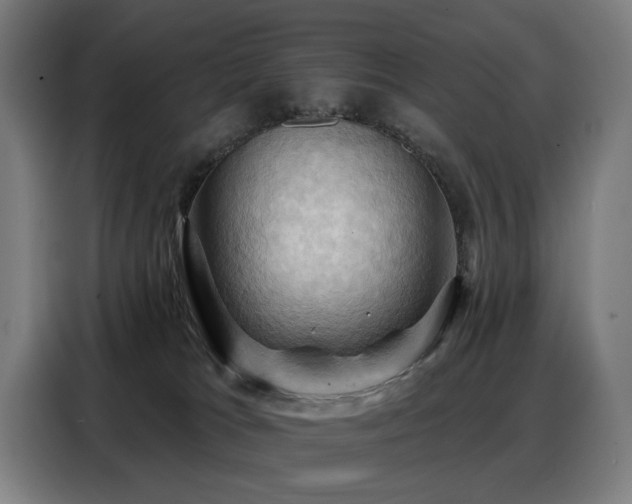 X0000088380037200705221103