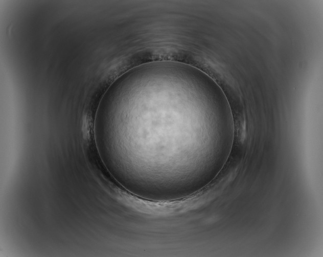 X0000088380038200705221103