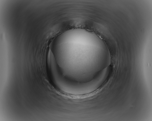 X0000088380039200705221103