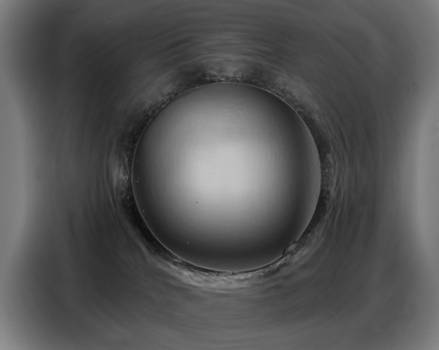 X0000088380040200705221102