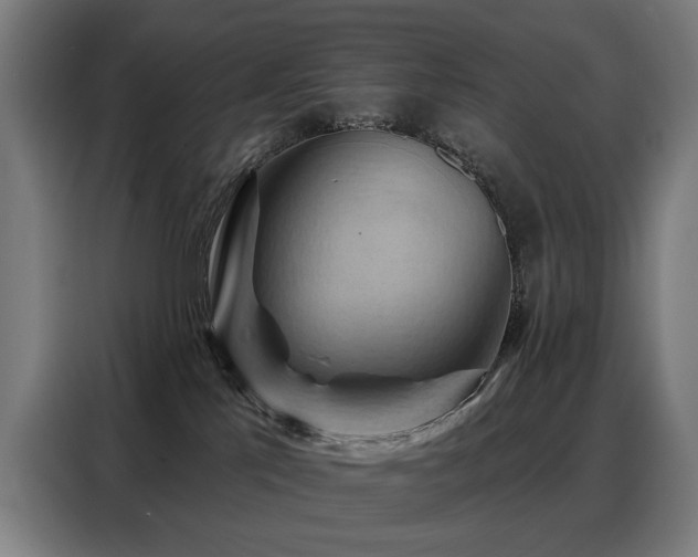 X0000088380041200705221102