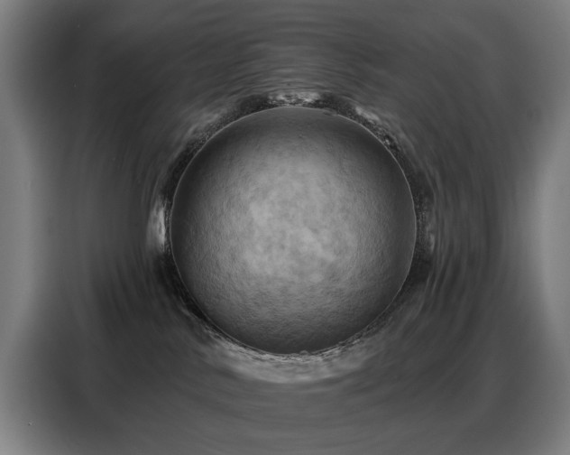 X0000088380042200705221102