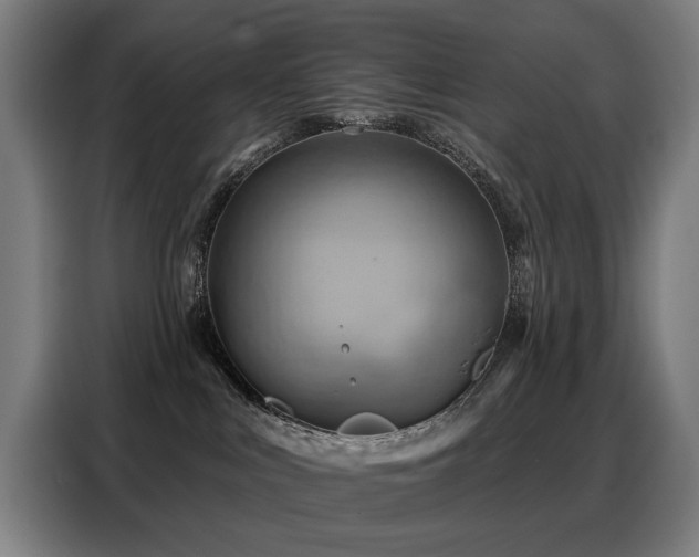 X0000088380043200705221102