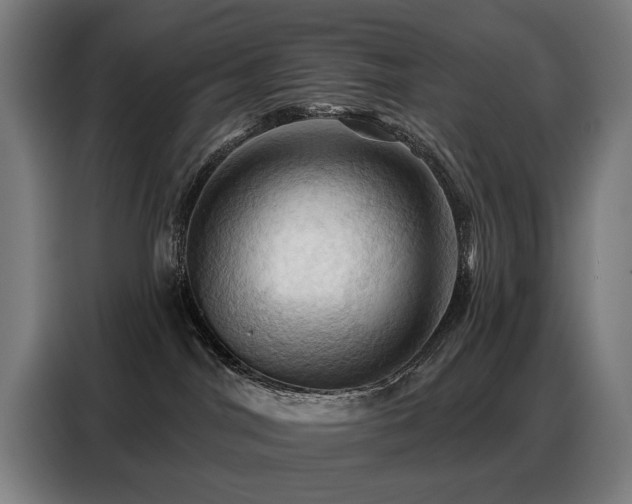 X0000088380044200705221102
