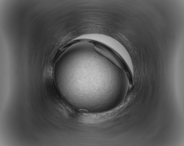 X0000088380045200705221102