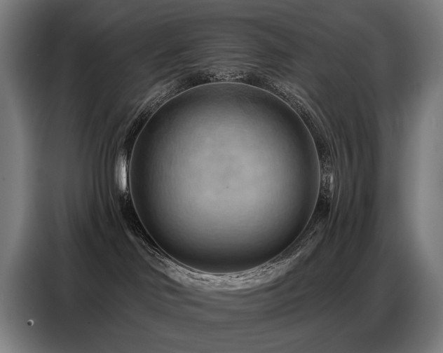 X0000088380046200705221102