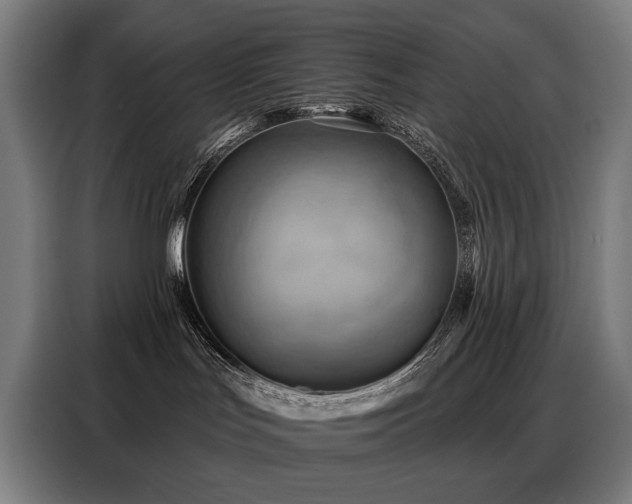 X0000088380047200705221102