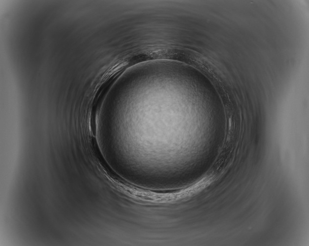 X0000088380048200705221102