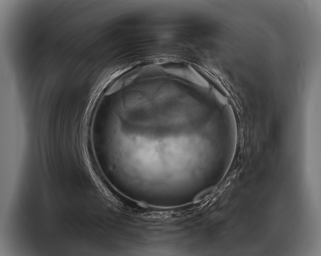 X0000088380049200705221102
