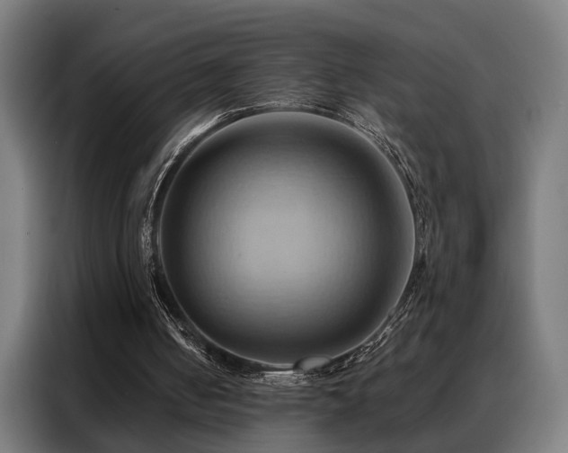 X0000088380050200705221102