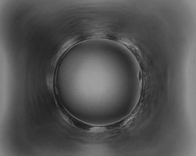 X0000088380051200705221102