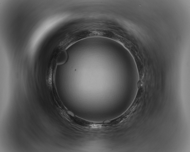 X0000088380052200705221102