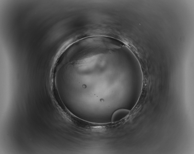 X0000088380053200705221102