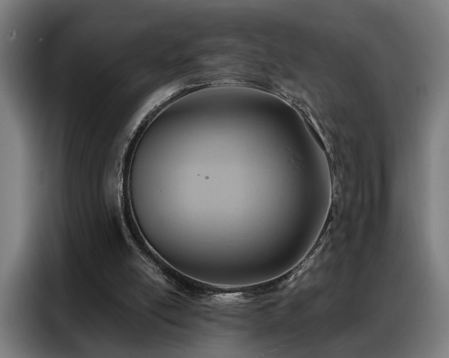X0000088380054200705221102