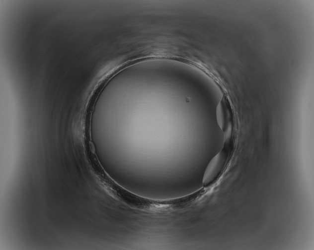 X0000088380055200705221102